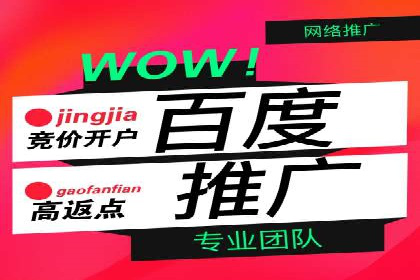 SEM专员的角色与成功案例解析